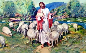 Mục tử Nhân Lành biết từng con chiên