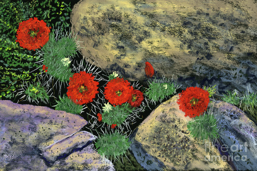 flowers on rocks