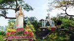 Đà Nẵng: Đại hội Đức Mẹ Trà Kiệu 2017