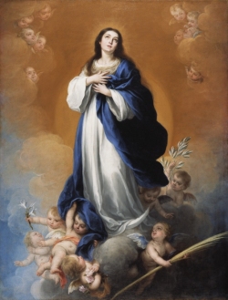 Mẹ Maria Vô Nhiễm - Mẹ Giáo phận