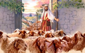 Chúa Giêsu là cửa chuồng chiên