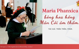 Maria Phanxica- bông hoa hồng Mân Côi âm thầm…