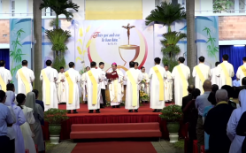 Dòng Tên VN vui mừng có thêm 11 linh mục