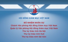 Hội đồng Giám mục Việt Nam bổ nhiệm nhân sự mới