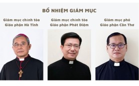 Tòa Thánh bổ nhiệm 3 Giám mục Việt Nam