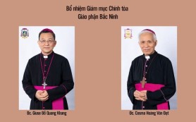 Từ nhiệm và kế vị Giám mục Chính tòa Bắc Ninh