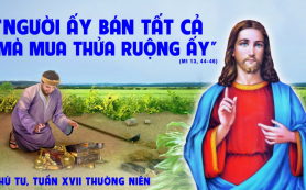 Hăng say chiến đấu