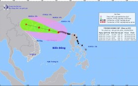 Phiên chầu lượt gặp bão Yagi