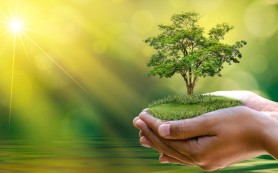 Nghĩ về một thế hệ Laudato Si’