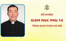 Bổ nhiệm Giám mục Phụ tá tổng giáo phận Hà Nội