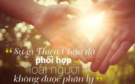 Nên thánh trong bậc sống của mình!