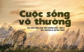 Chỉ là một chớp mắt trong cõi vô thường