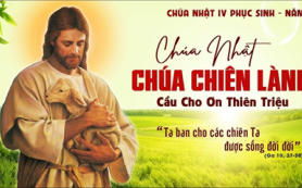 Tôi ban sự sống đời đời cho chiên