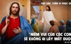 Niềm vui không ai lấy được