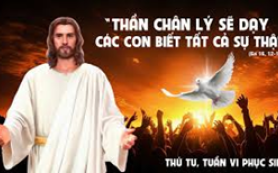Tới sự thật toàn vẹn