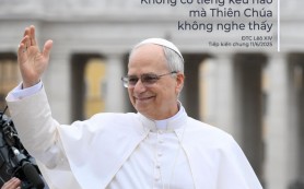Bài giáo lý của ĐTC - Tiếp kiến chung 11/6/2025