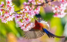 Đừng lo lắng: Hãy tìm kiếm Nước Thiên Chúa