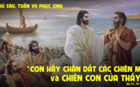 Hãy chăn dắt chiên của Thầy