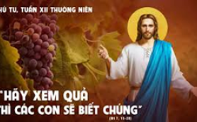 Xem họ sinh hoa quả nào