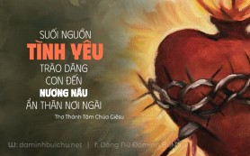 Sự nhẫn nại và trắc ẩn của Trái tim Chúa Giêsu