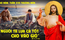 Cá tốt cá xấu