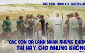 Cũng phải cho không như vậy