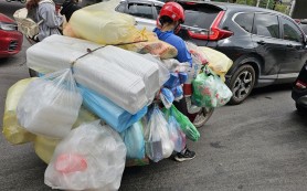 Báo động: Túi nilon hiểm họa môi trường và sức khỏe