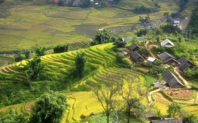 Ơn gọi giữa gió ngàn