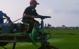 Bùi Đức Cương, chứng nhân giữa đời thường