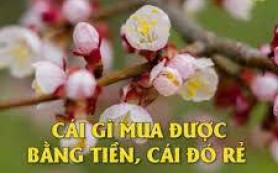 Khi đồng tiền lên ngôi