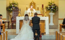 Truyện ngắn: Hồi sinh và trổ sinh[i]