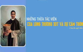 Thừa tác viên của lòng thương xót và cảm thông