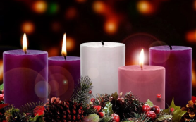 Niềm vui chớm nở