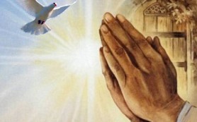 Phúc thay mắt nào được thấy điều anh em thấy