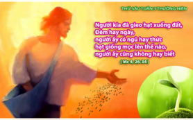 Hạt giống mọc lên không ai biết