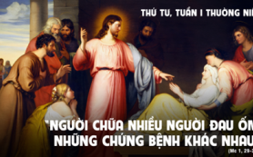 Chữa đủ thứ bệnh tật