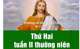 Chàng rể đang ở với ta
