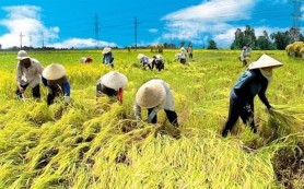 Lao động để làm gì?