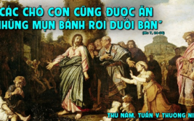Chó con ăn mảnh vụn