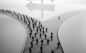 Sự khôn ngoan trong lựa chọn