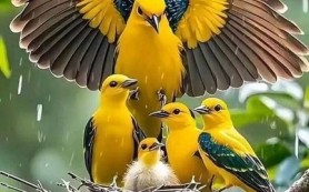 Lời không thất thu