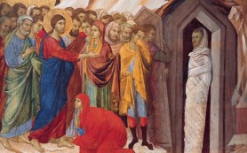 Tin để thấy vinh quang sự sống