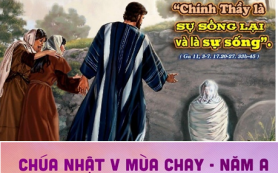 Thầy là sự sống lại