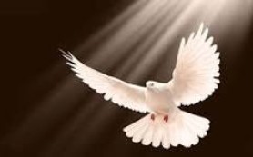 Không ban từng phần - Ban chính Ngài