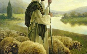 Để chiên sống dồi dào