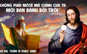 Cha tôi đã cho bánh bởi trời
