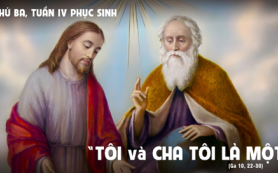 Không ai cướp được chúng