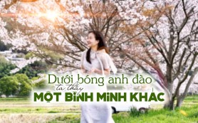 Dưới bóng anh đào, ta tìm thấy một bình minh khác