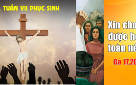 Hoàn toàn nên một