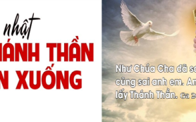 Thầy cũng sai anh em